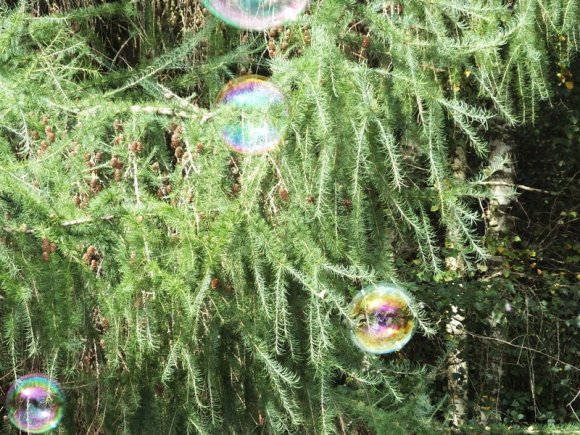  It's no good hiding in the trees.