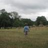 picnic-018